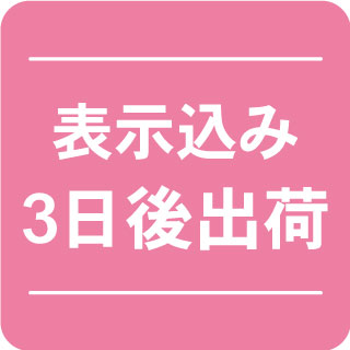 表示込み3日後出荷