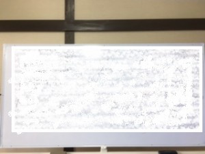 IMG_0709