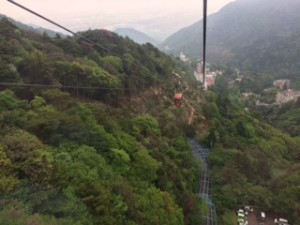 IMG_1223
