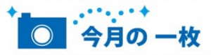 スクリーンショット 2018-03-19 17.14.24