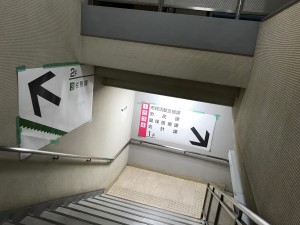 写真１