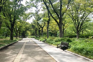 公園