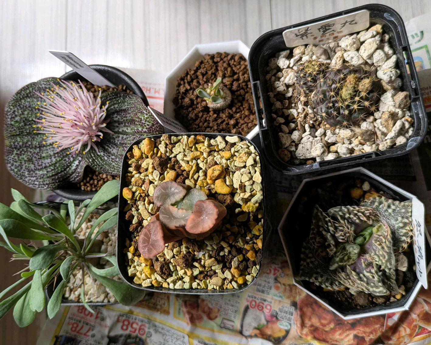 A1C81640-74C2-45B6-AE93-3616D9FBE57C