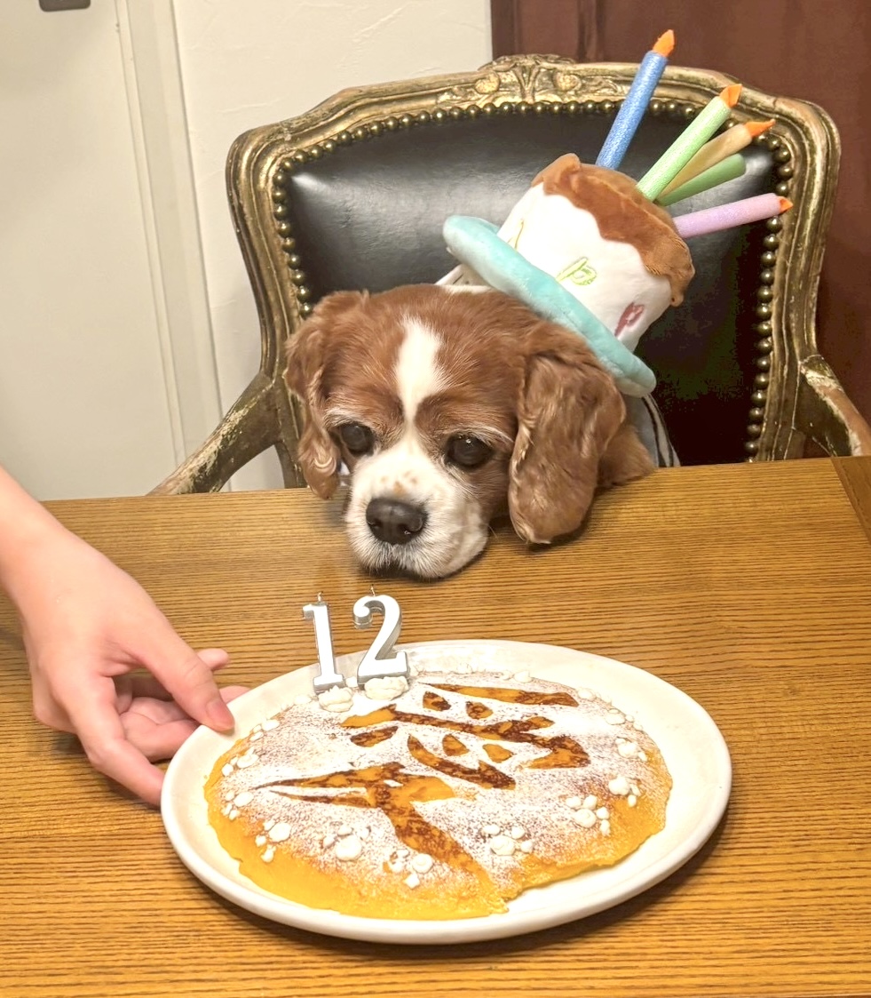 ブログ0428_02