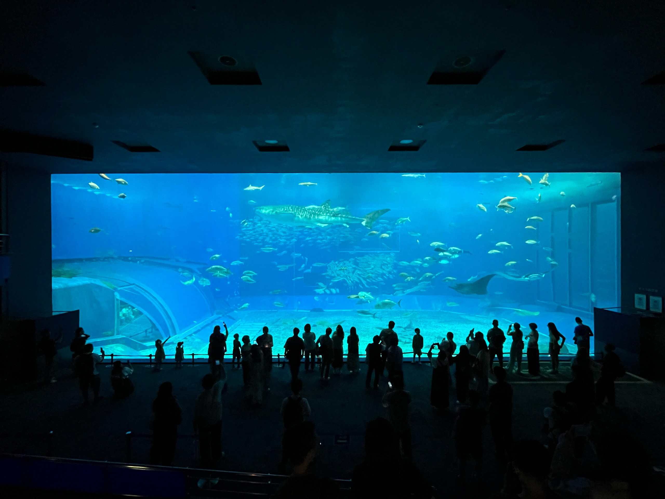 IMG_5424